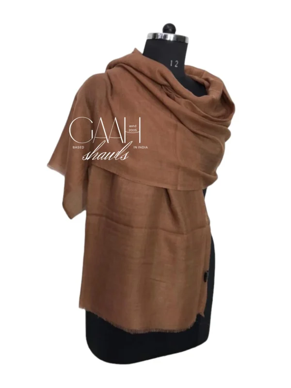 Pure Pashmina Plain Shawl In Natural Shades