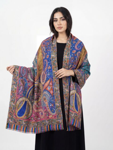Women's Fine Wool Kalamkari Stole With Ary Work