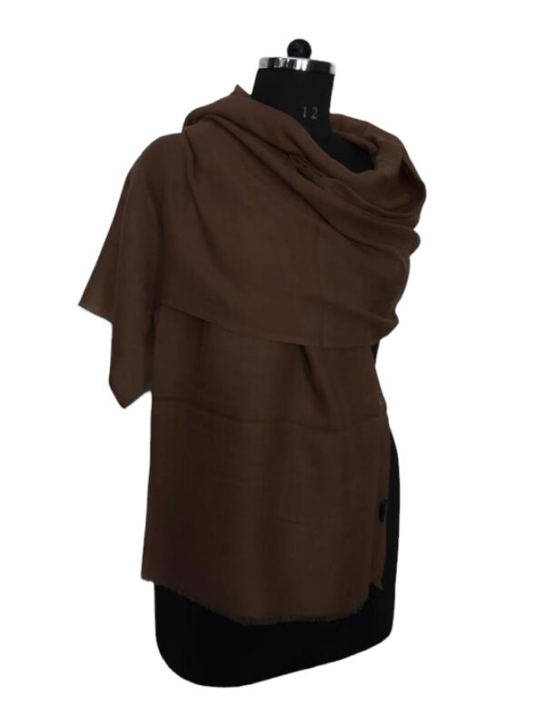 Pure Pashmina Plain Shawl For Women In Natural Shades