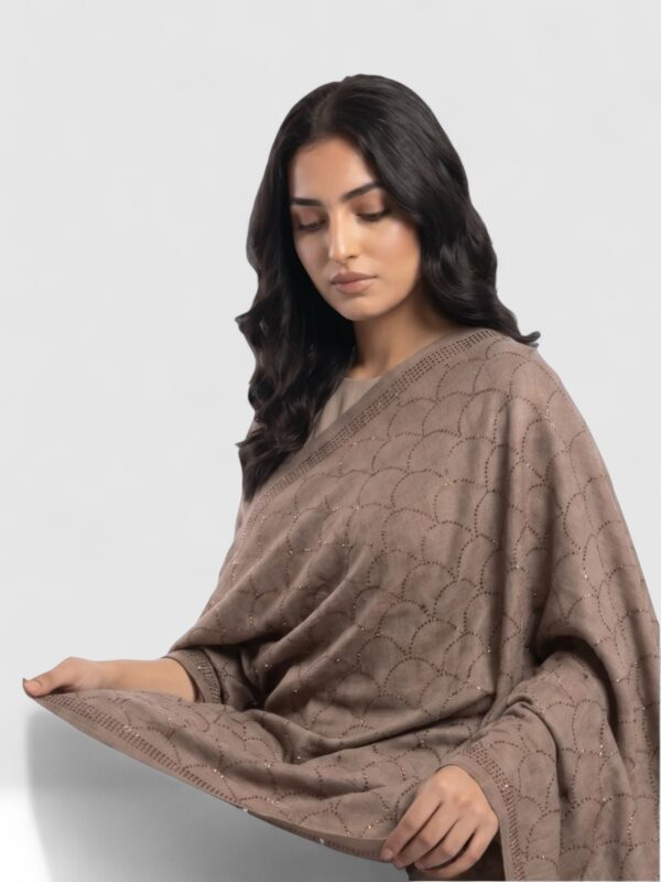 Mocha Pashmina Shawl with All-Over Spiral Swarovski