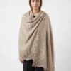Beige Pashmina Shawl with Intricate Floral Lace Border