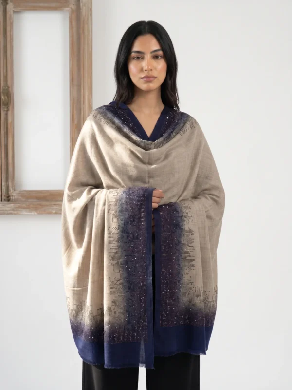 Pashmina Ombre Shawl With Pixel Fade Swarovski Border