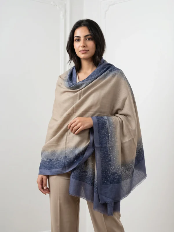 Pashmina Ombre Shawl With Pixel Fade Swarovski Border