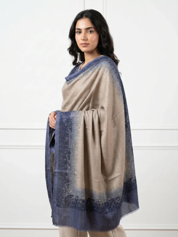Pashmina Ombre Shawl With Pixel Fade Swarovski Border