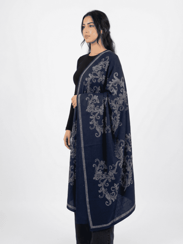 pashmina shawl with paisley crystal embedded design